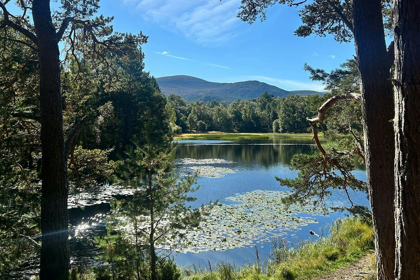 The Coylumbridge Resort Hotel Aviemore
