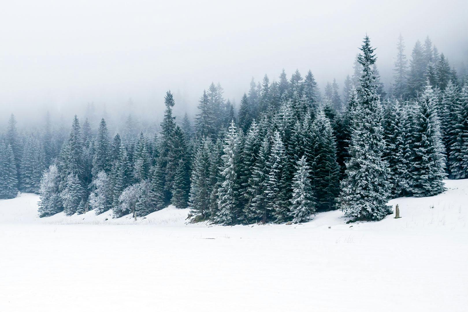 Festive train experience at Crieff Hydro