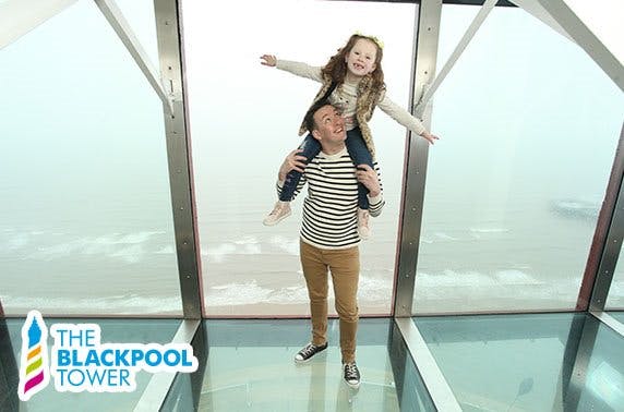 Merlin Entertainment PLC