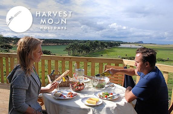 Harvest Moon Holidays