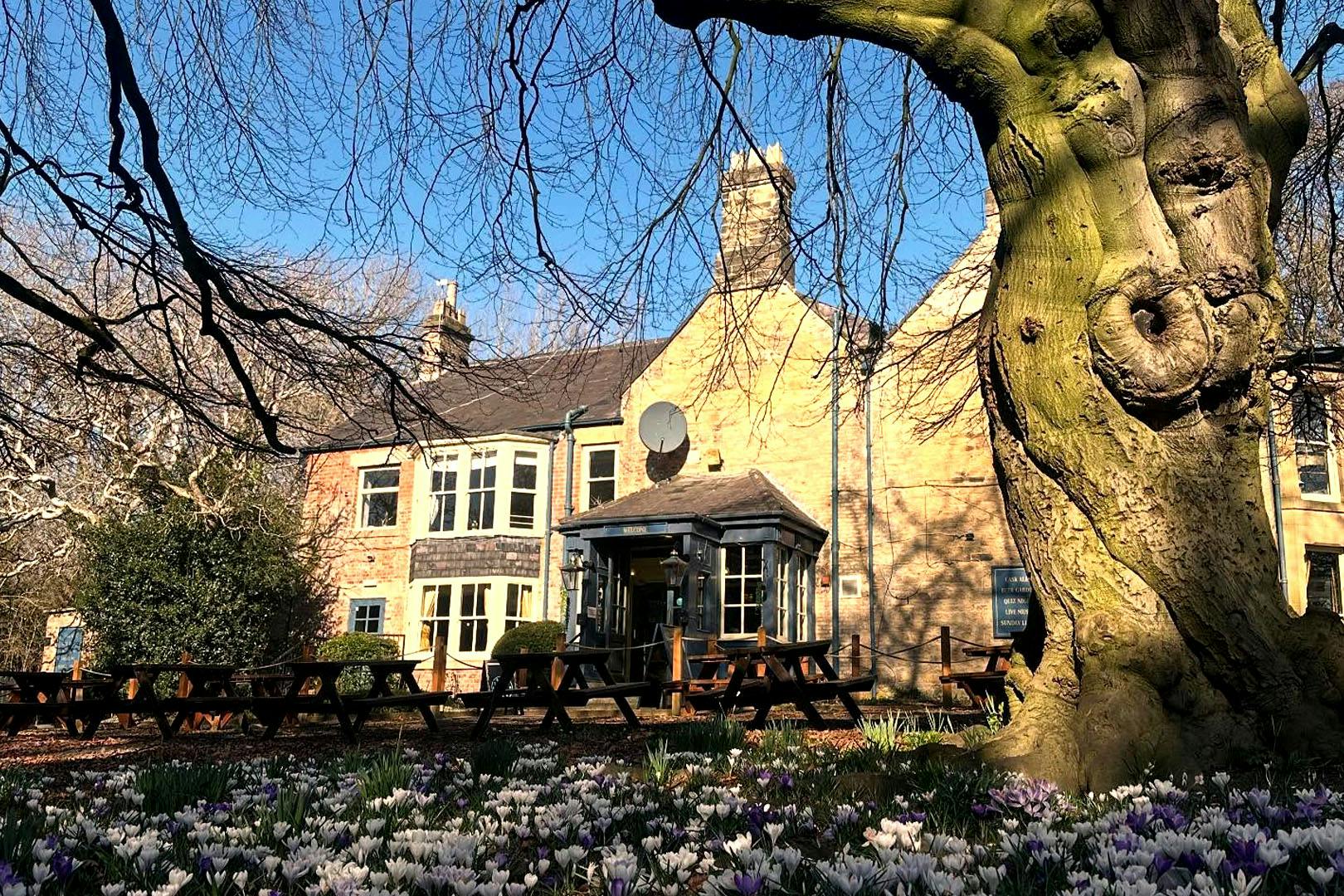 The Northumbrian Piper