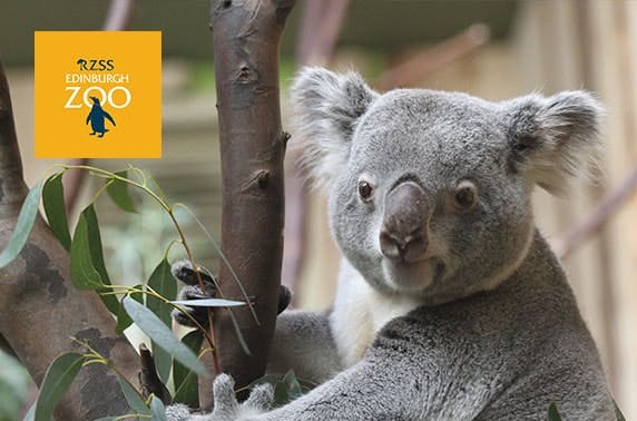 Edinburgh Zoo
