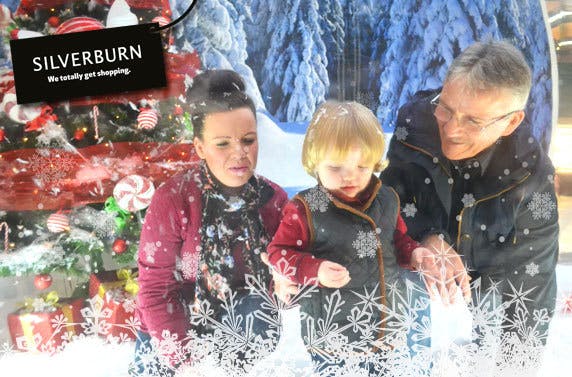 Silverburn Snow Globe