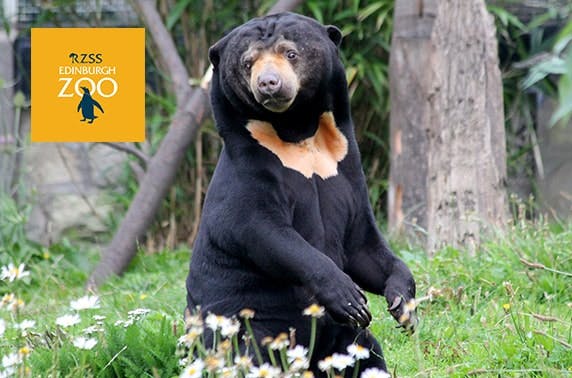 Edinburgh Zoo