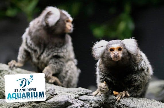 St Andrews Aquarium