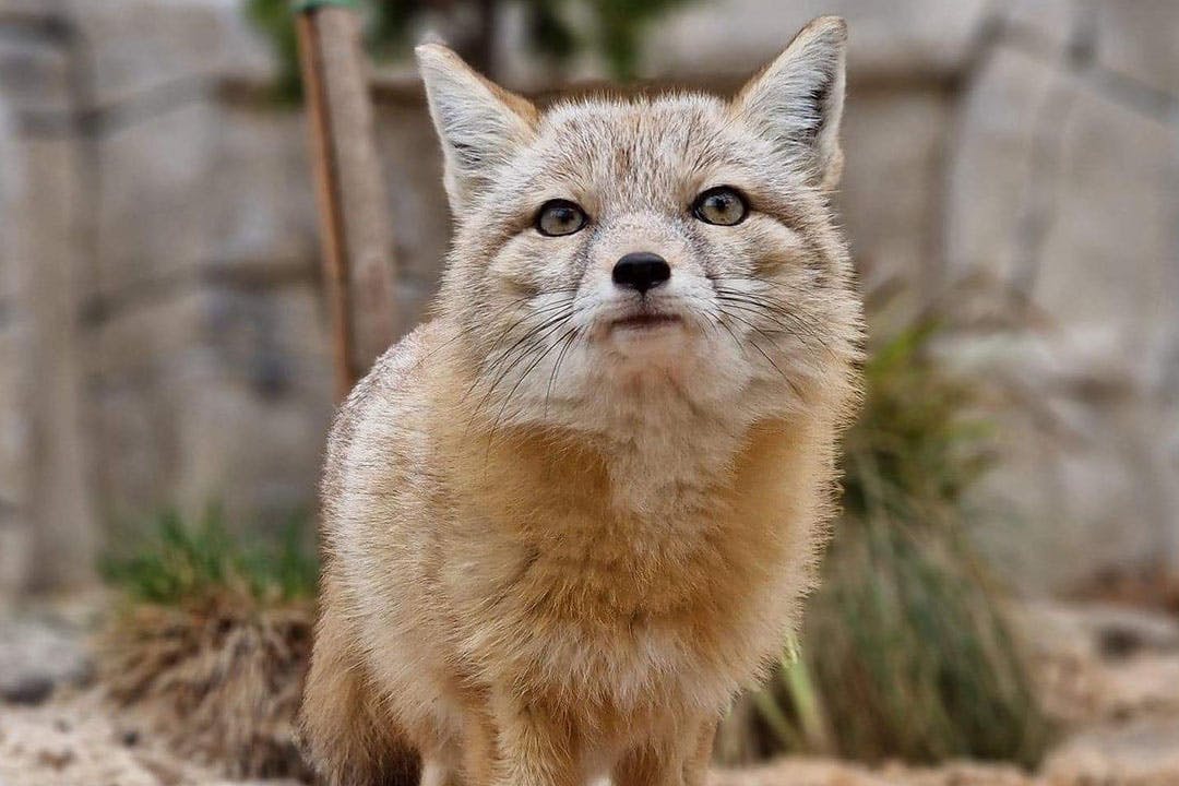 Macdonald Houstoun House Hotel