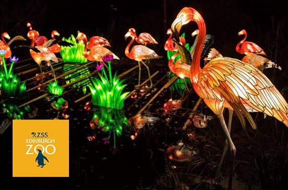 Edinburgh Zoo