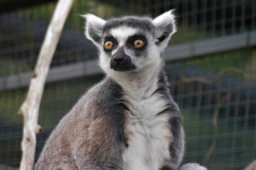 Macdonald Houstoun House Hotel