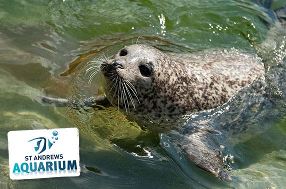 St Andrews Aquarium