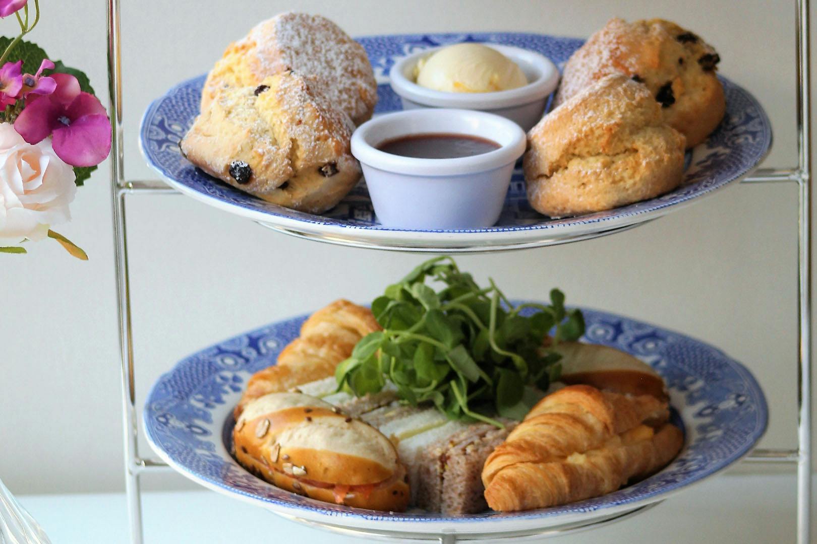 Mackintosh at the Willow