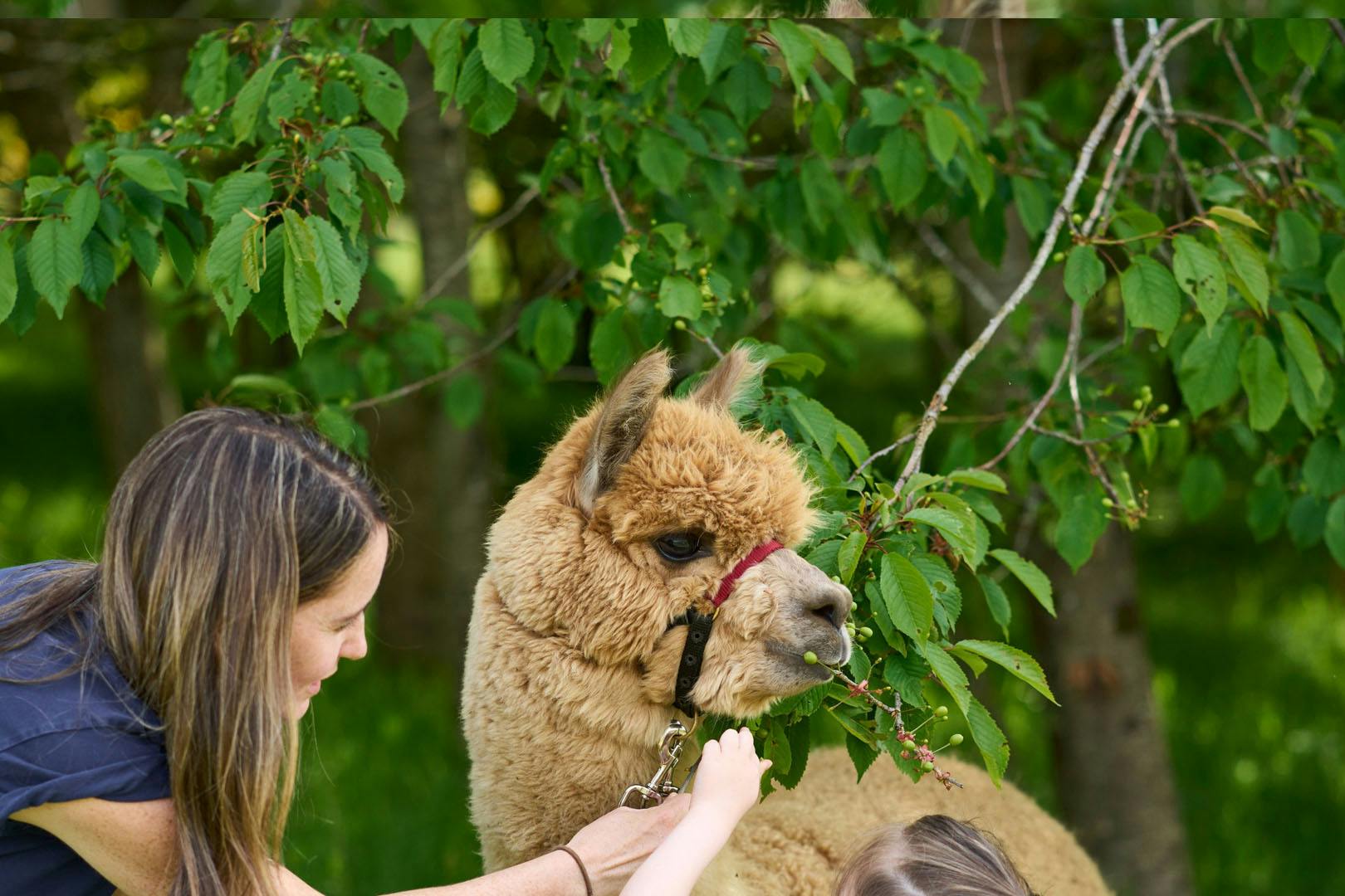 Action Glen at Crieff Hydro