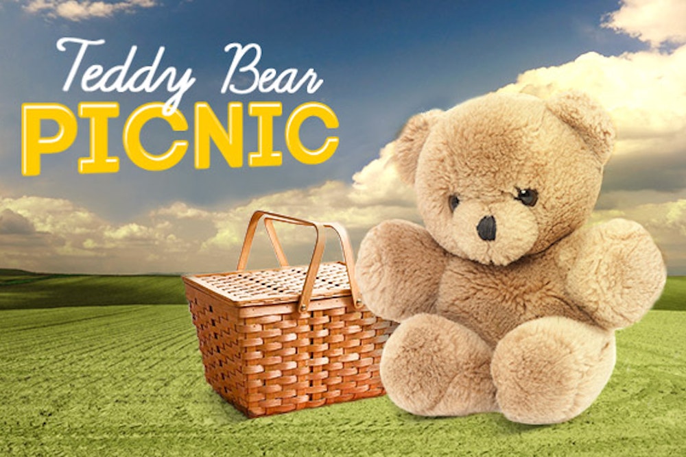 Teddy Bear Picnic 