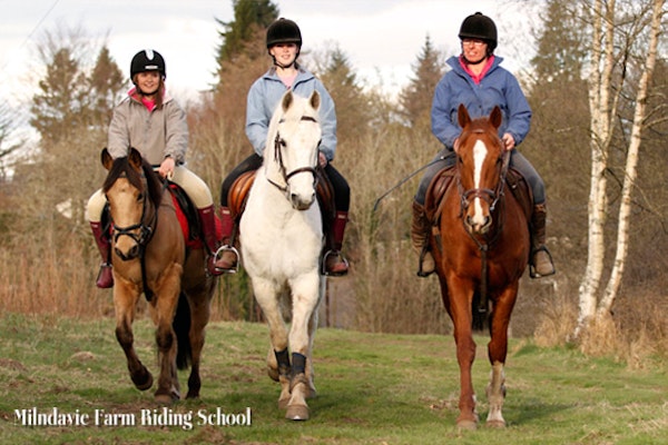 Milndavie Farm Riding Centre