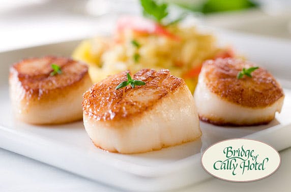 Bridge Of Cally Hotel 