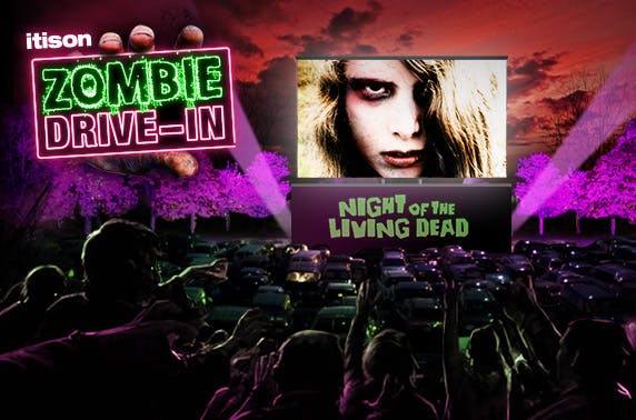 itison Drive-In Movies