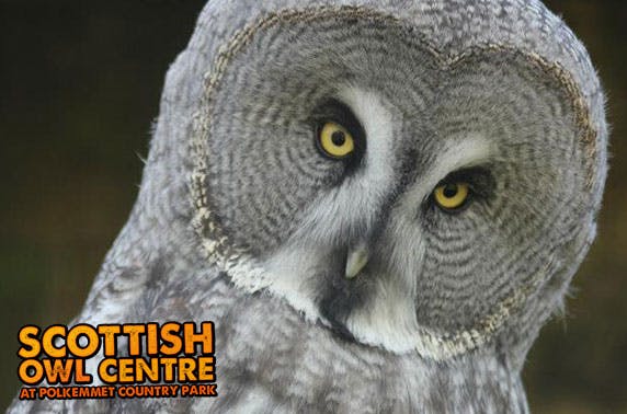 Scottish Owl Centre