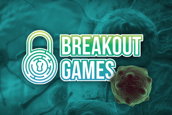 Breakout Games Ltd.
