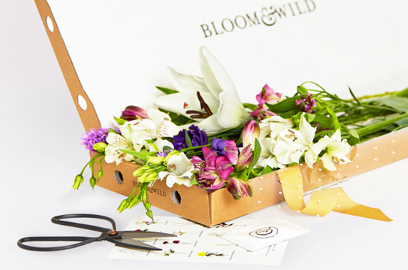 Bloom & Wild Flower Subscription – Itison