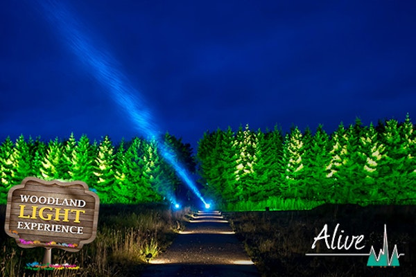 Woodland Light Experience ' Alive'