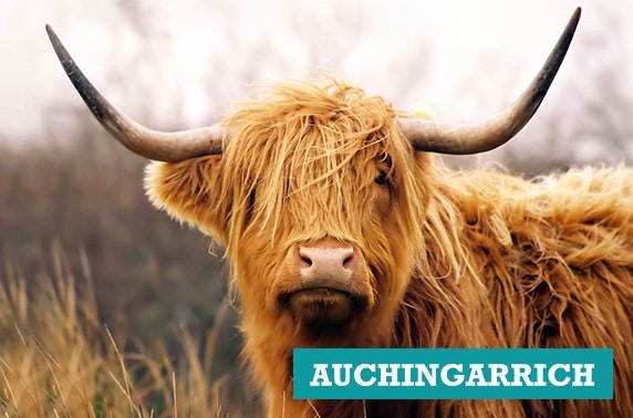 Auchingarrich Wildlife Park tickets