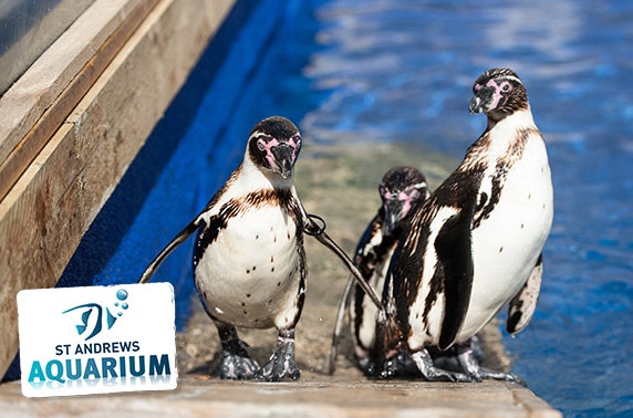 St Andrews Aquarium family pass & feeding experiences