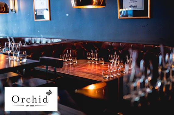 Orchid