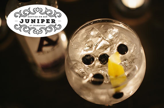 Dinner & drinks at Juniper Scottish Gin Bar, Princes Sq