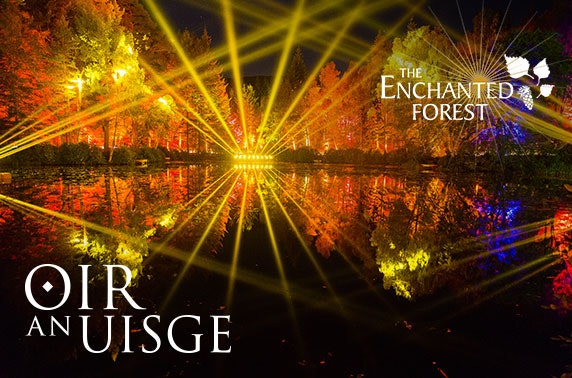 The Enchanted Forest 2017, Pitlochry