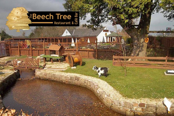 The Beech Tree Inn
