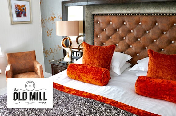 4* The Old Mill Inn stay, Pitlochry - £75