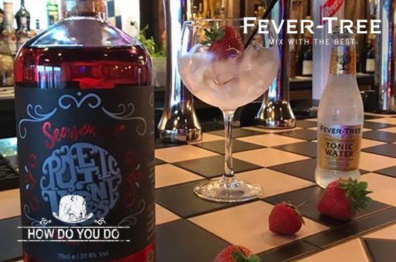 Gin Festival entry & drinks at How Do You Do