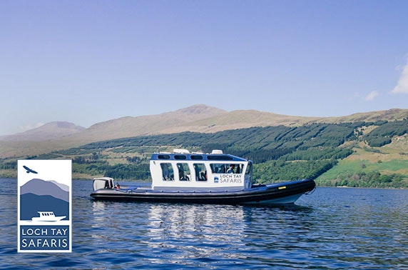 Loch Tay Safaris cruise