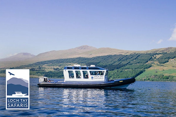 Loch Tay Safaris