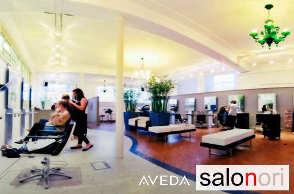 Cut & blow dry with Aveda conditioning treatment, City Centre - £19