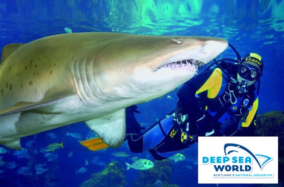 Deep Sea World adult shark encounter