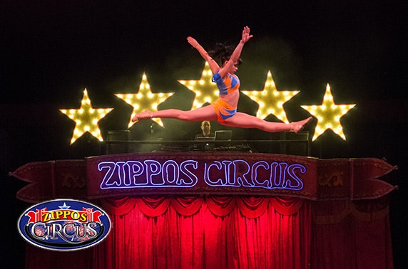 Zippo’s Circus