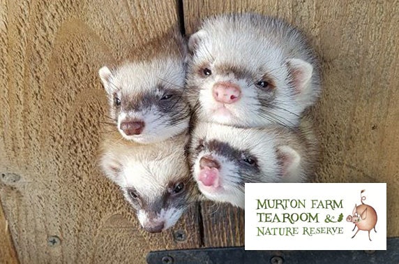 Murton Farm family pass - under £1.50pp