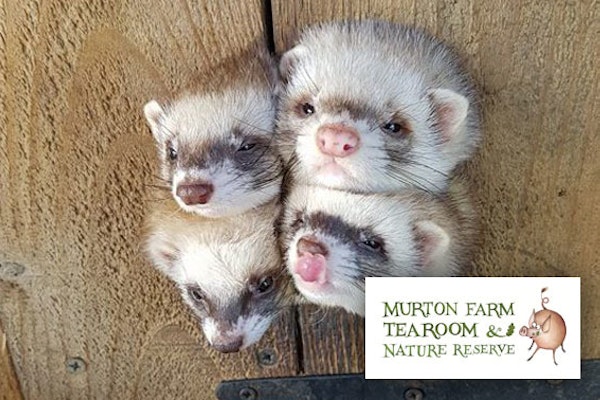 Murton Farm