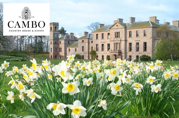 Cambo House apartment – from £16pppn