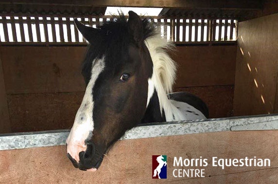Morris Equestrian Centre lessons, Kilmarnock