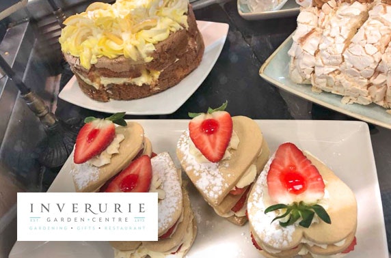 Inverurie Garden Centre cakes, lunch & drinks