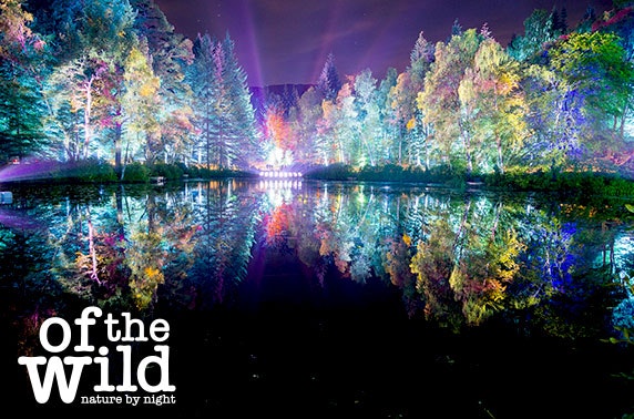 The Enchanted Forest 2018, Pitlochry