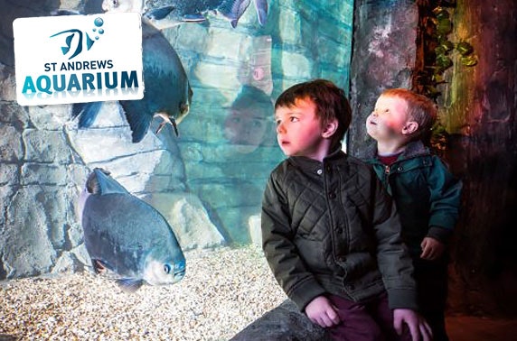 St Andrews Aquarium family day pass