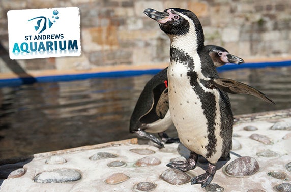 St Andrews Aquarium 3 month family pass