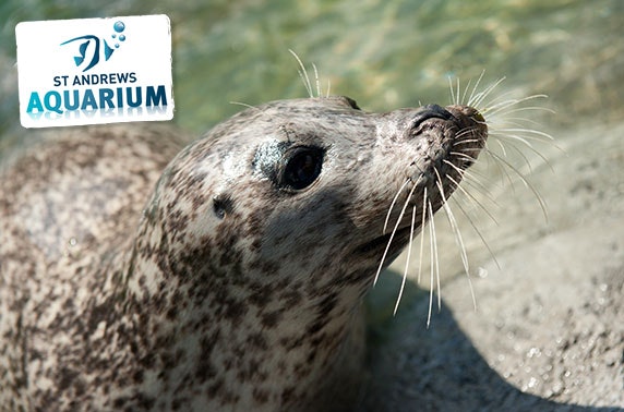 St Andrews Aquarium 3 month family pass