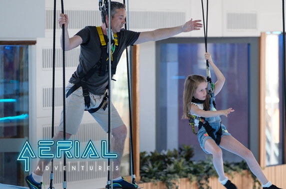 Aerial Adventures soft play or adventure pass