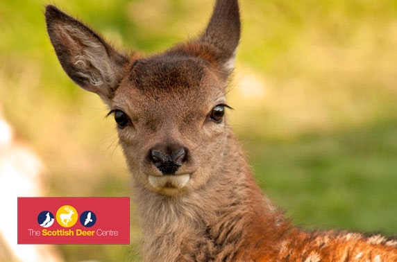 The Scottish Deer Centre passes - from £3.40pp