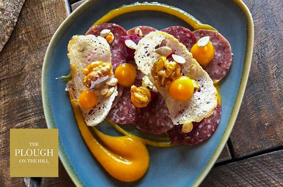 The Plough on the Hill