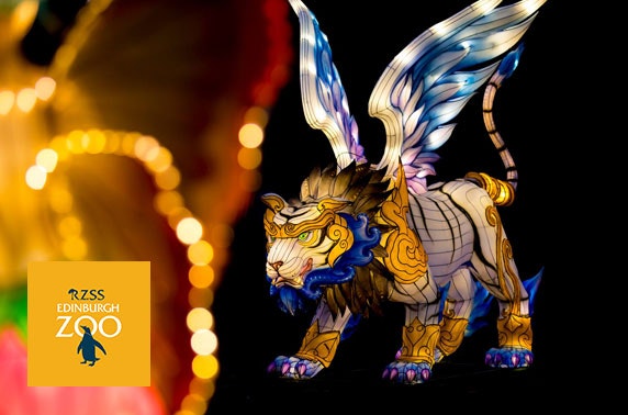 New dates added: Edinburgh Zoo Giant Lanterns spectacular & extra goodies