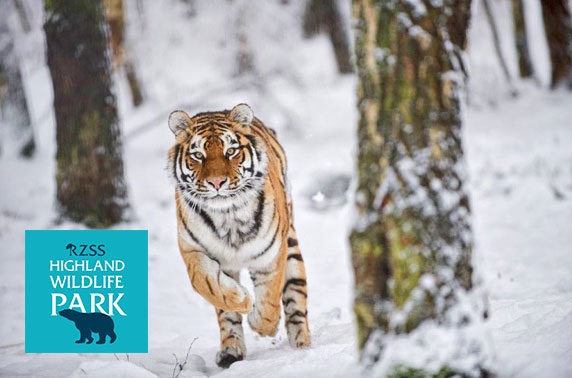 Highland Wildlife Park Santa Walk - from £7pp
